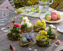 Eggshells as vases on moss