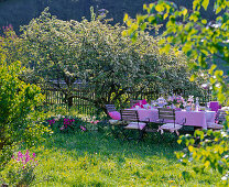 Gedeckter Tisch vor blühendem Malus (Apfelbaum)