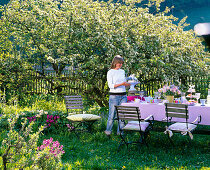 Gedeckter Tisch vor blühendem Malus (Apfelbaum)