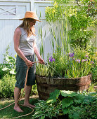 Woman filling wooden barrel with iris (marsh iris), Typha (Cattail)