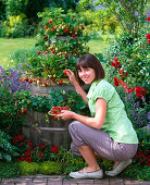 Barrel tower planted with strawberries