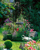 Buxus (Buchs-Rondell) mit Rose (Rosen), Lavandula (Lavendel)