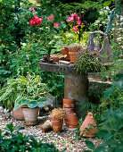 Working style with clay pots, hand shovel, pot with twist ties