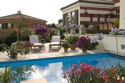 Mediterranes Flair: Swimmingpool eingelassen in Terrasse mit Kübelpflanzen