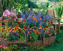 Willow elements braid for bedding border