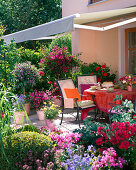 Terrace with potted plants, awning as sun protection