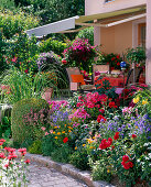 Sommerbeet mit Rosa (Rosen), Phlox (Flammenblumen), Delphinium