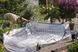 Inflatable greenhouse for overwintering potted plants (10/18)