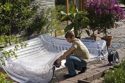 Inflatable greenhouse for overwintering potted plants: 12/18