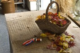 Blätterteppich aus Herbstlaub und Drahtgitter
