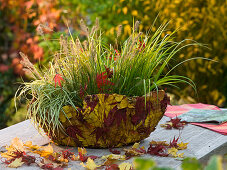 Blätterteppich aus Herbstlaub und Drahtgitter