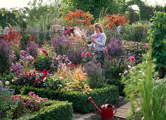 Herbstbeet : Aster (Herbstastern), Dahlia (Dahlien), Zinnia (Zinnien)