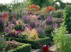 Herbstbeet: Aster (Herbstastern), Dahlia (Dahlien), Zinnia (Zinnien)