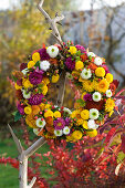 Potted wreath with chrysanthemums