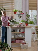 Herbs and sprouts in the kitchen