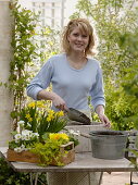 Planting wooden box with yellow and white flowers