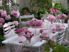 Table decoration with rhododendron