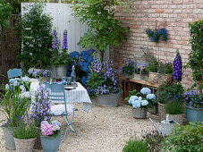 Terrasse mit blauen Pflanzen