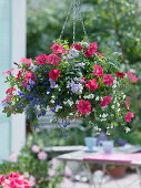 Plant hanging basket with balcony flowers
