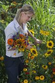 Junge Frau schneidet Blumen für Spätsommerstrauß