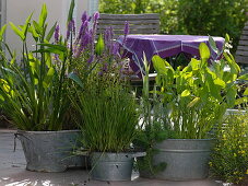 Old zinc tubs as mini ponds for the terrace