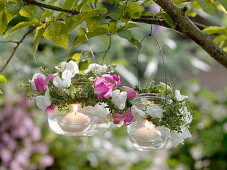 Lanterns made of preserving jars with scented tassels