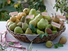 Flat basket with various pears
