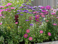 Flowerbed with aluminium frame