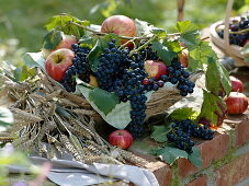 Grapes and apples in basket of clematis tendrils, wheat