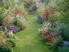 Autumn beds with grasses, perennials, summer flowers and woody plants