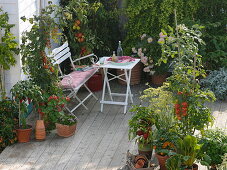 Sweet terrace with tomatoes and peppers