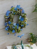 Wreath of hydrangea blossoms in green and blue for drying