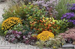 Buntes Herbstbeet an der Terrasse mit Eichenblatt-Hortensie