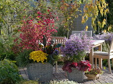 Herbstlich bepflanzte Körbe auf der Terrasse