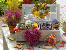 Wooden box with glass lid filled with nuts, flowers, leaves for handicrafts