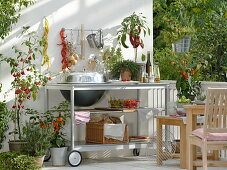Outdoor kitchen on the balcony: barbecue trolley, pots with bell chillies