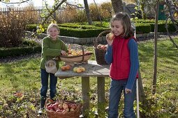 Girl picking apples