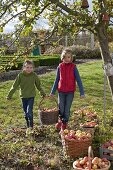 Girls harvesting apples