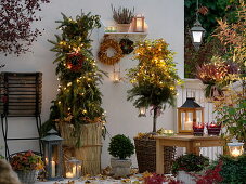 Winterise roses in tubs with brushwood, straw mats and leaves