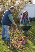 Man rakes leaves, woman takes wheelbarrow with autumn leaves