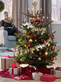 Nordmann fir red and golden decorated