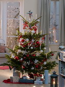 Abies nordmanniana (Nordmann fir) decorated with red and white balls