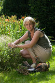 Woman cutting withered sage flowers