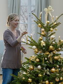 Nordmann fir as Christmas tree