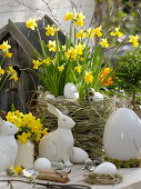 Narcissus 'Tete a Tete' (Narzissen), Hasendraht mit Miscanthus (Chinaschilf)