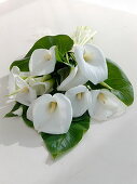 Wedding bouquet of Zantedeschia (Zimmer-Kalla)