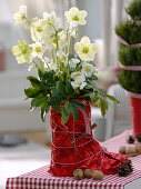 Rubber boots dressed up for Christmas as a planter 5/5