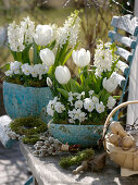 Tulipa 'Mondial', Hyacinthus 'White Pearl', Viola cornuta