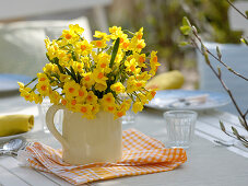 Narcissus 'Soleil d'Or' (Tazett daffodils) in a jar