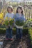 Girl in a cottage garden with Narcissus 'Tete a Tete' (daffodils)